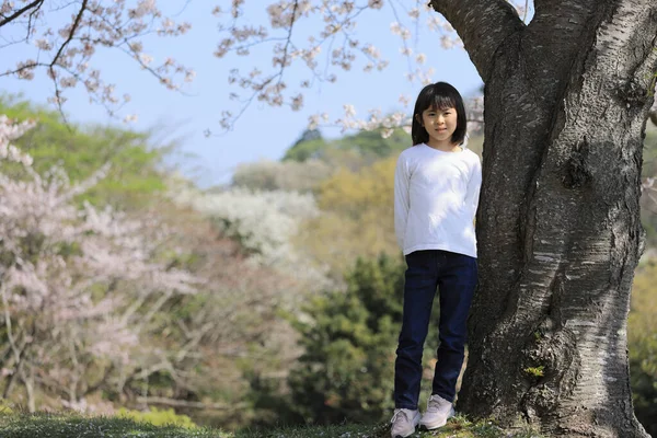 Niña Estudiante Japonesa Flores Cerezo Años —  Fotos de Stock