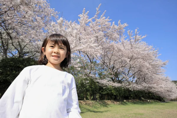 Menina Estudante Japonesa Flores Cereja Anos Idade — Fotografia de Stock