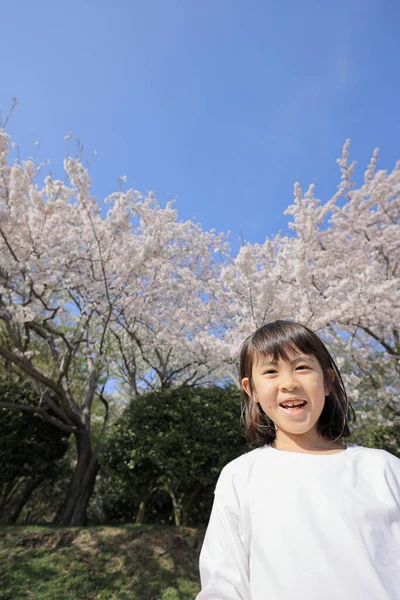 Японская Студентка Цветение Вишни Лет — стоковое фото