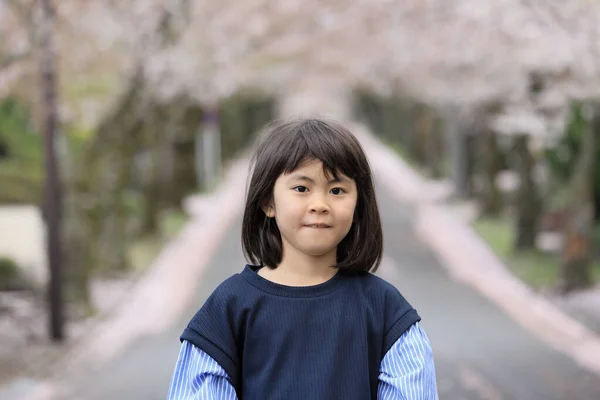 Ιαπωνική Μαθήτρια Και Σειρά Από Κερασιές Ετών — Φωτογραφία Αρχείου