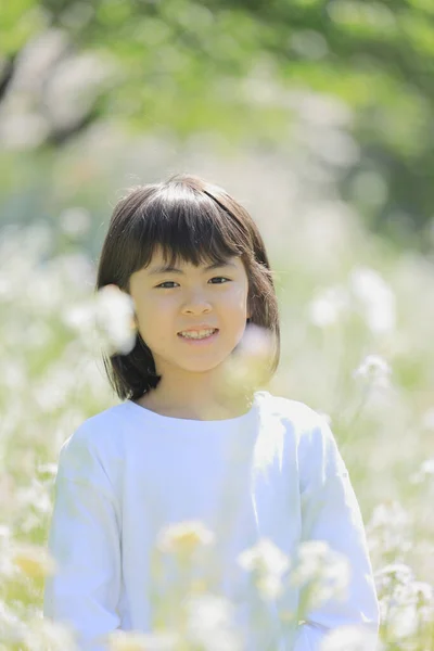 Японская Студентка Цветнике Лет — стоковое фото