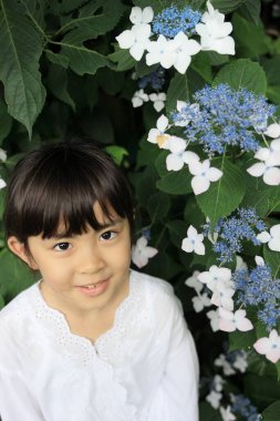 Japon kız ve ortanca (8 yaşında) (mavi ve beyaz))