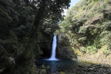 Joren Izu 'ya, Shizuoka' ya, Japonya 'ya düşer.