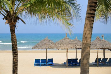Benim Khe Beach 'im, Danang, Vietnam' da plaj şemsiyesi ve palmiye ağacı.