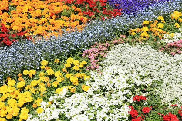 Çiçek Bahçesi, Japonya