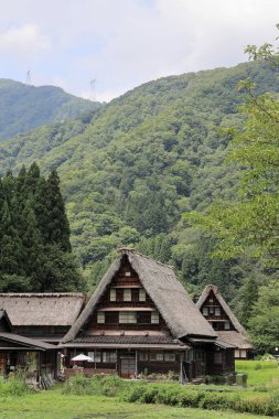 Gokayama, Toyama, Japonya 'daki Suganuma köyündeki Gu tarzı ev.