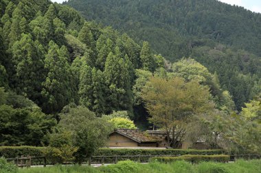 Ichijodani Asakura ailesinin tarihi kalıntıları Fukui, Japonya 'da restore edildi.