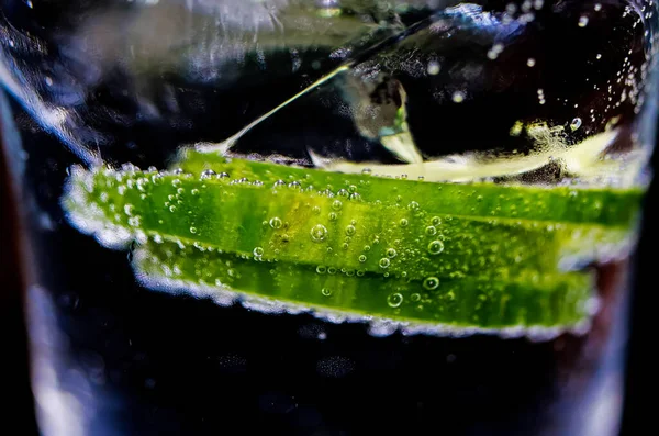 銀強壮剤 カクテルグラスに緑の生キュウリのスライス 輝く泡と氷のキューブのマクロを閉じます 黒の背景 — ストック写真