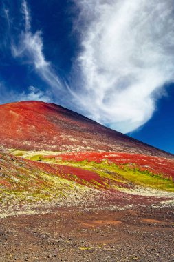 Beautiful icelandic wild volcanic landscape, colorful red mountain peak, blue summer sky - Iceland, Landmannalaugar