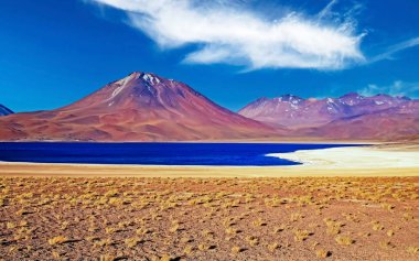Güzel kurak And Dağları, yüksek düz arazi, koyu mavi göl, kırmızı renkli volkan konisi, sarı kuru otlu kum - Laguna Miscanti, Atacama Çölü, Şili