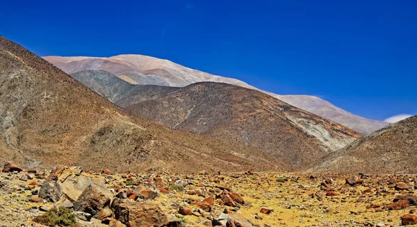 石灰砂质海岸探险小径在美丽的虚幻的干旱生活中敌对的沙漠景观朝向看似不可逾越的山墙 智利泛阿苏卡尔国家警察 — 图库照片