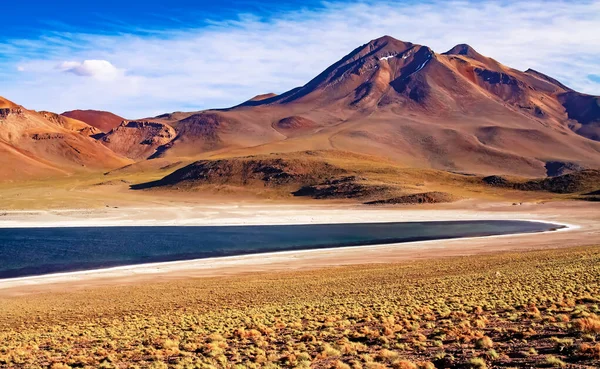 stock image Beautiful spectacular colorful andes high plains landscape, dark blue lonely quiet calm lake lagoon, rugged mountains, arid ground with yellow dry grass   - Laguna Miscanti, Chile