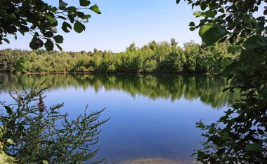 Maas Kum tepelerinin ortasındaki güzel yalnız göl yürüyüş yolu üzerinde - Venlo (Arcen), Maasduinen de Hamert NP, Limburg, Hollanda