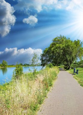 Güzel Hollanda kırsal manzarası, cennet gibi yalnız nehir kenarı bisikleti ve Maas nehri boyunca yürüyüş yolu - Arcen (Venlo), Limburg, Hollanda