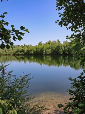 Maas Kum tepelerinin ortasındaki güzel yalnız göl yürüyüş yolu üzerinde - Venlo (Arcen), Maasduinen de Hamert NP, Limburg, Hollanda