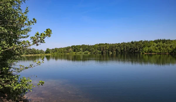Bellissimo Lago Calmo Bosco Nel Tipico Paesaggio Olandese Maasduinen Vicino — Foto Stock