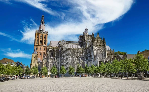 stock image S-Hertogenbosch (st. Johns cathedral), Netherlands - July 8. 2023: Beautiful square with medieval romanesque style church from 13th century