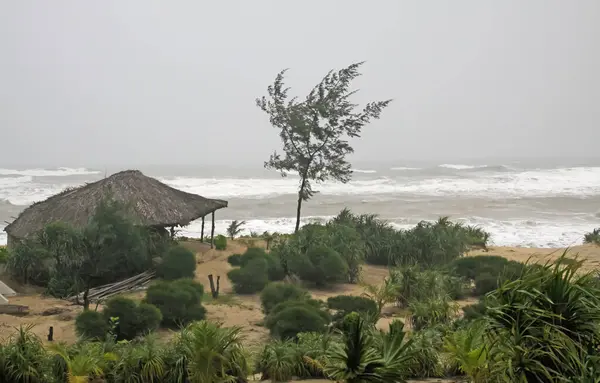 Fırtınalı yağmurlu bir günde tropikal Vietnam kumsalı.