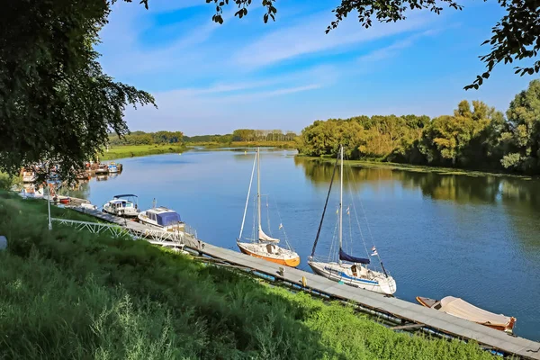 Linne Limburg Holandia Września 2023 Małe Molo Nad Rzeką Maas — Zdjęcie stockowe