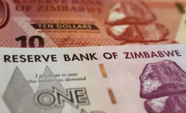 Zimbabwe Deki Rezerv Bankası Nın Kapanışı — Stok fotoğraf