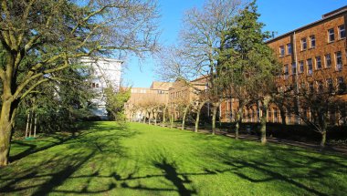 Viersen NRW, Almanya - 28 Ocak. 2024: Güzel yeşil heykel parkı, ilçe yönetim binaları