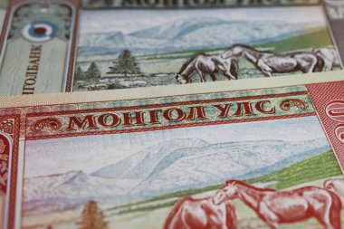 Eski Moğol Tugrik para birimi banknotuna Kiril harfleriyle yakın çekim