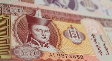 Eski para birimi Moğolistan tugrik banknotunun devlet kurucu üyesi Damdin Sukhbaatar 'ın portresi ile yakınlaştırılması