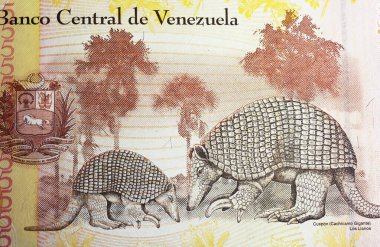 Venezuela Bolivar para birimi banknotu üzerinde (merkeze odaklan) Giant armadillo 'nun (Priodontes maximus) portresi)