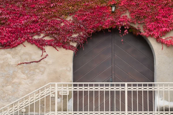 Yuvarlak Kemerli Eski Ahşap Bir Kapı Metal Bir Korkuluğun Arkasında — Stok fotoğraf