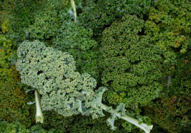 Loose leaves of kale photographed from above form a green background. clipart