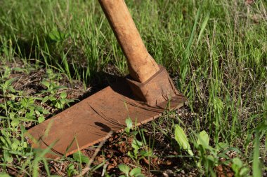 Close up of a rusty spade resting on a lawn in the garden. The earth is red. The handle is made of wood.