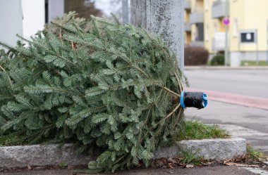 There is a used Christmas tree on the side of the road ready to be picked up. The holidays are over.