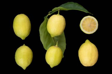 Koyu bir arka planda yan yana duran altı taze sarı limon. Yapraklar hala limonda asılı. Bir limon ikiye bölünür.