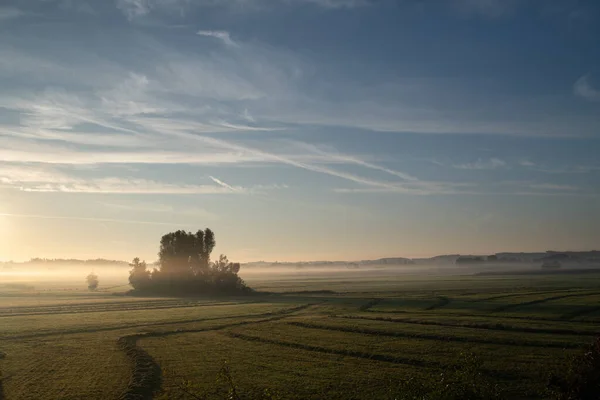 The sun rises over a mown meadow in the morning. A small group of trees stands in the field. The mist rises. First rays of sunshine on the horizon. The sky is covered with clouds.
