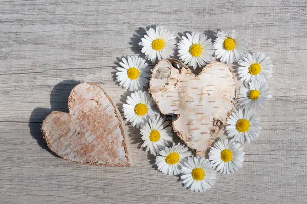 two hearts made of birch wood, with bark, lying next to each other. One heart is framed by small daisies. The background is light-coloured wood.