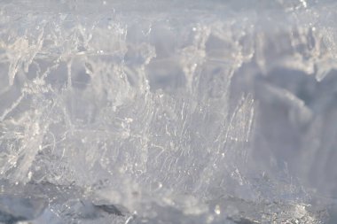 Sudan gelen buza yakın çekim. Filigran yapıları görülebilir. Arkaplan açık renkli..