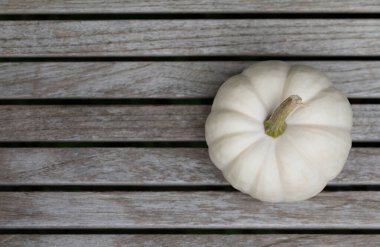 Yıpranmış odunun arka planında duran beyaz bir balkabağının yakın çekimi. Balkabağı yukarıdan çekilir..