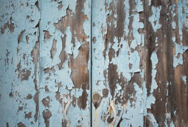 Eski, yıpranmış ahşap bir kapının arka planı ve yakın çekimi. Mavi boya çoktan birçok yerde soyulmuş..