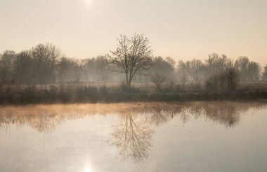 Güneş bir gölün kıyısından doğar. Çıplak ağaçlar suya yansıyor. Sis yükseliyor..