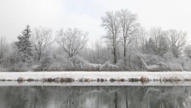 Üzerinde don olan çıplak ağaçlar kışın bir kanalda yansır.
