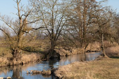 Kışın Bavyera 'da manzara çekimi. Dar bir nehir çorak bir çayır ve çıplak ağaçların arasından akar..