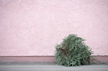 Terk edilmiş bir Noel ağacı tatilden sonra bir evin önünde yatar. Evin ön tarafı pembedir. Ağaç caddede yatıyor..