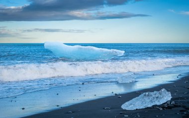Seal shaped iceberg floating in the Atlantic Ocean at Diamond Beach, Jokulsarlon, Iceland