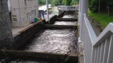 İskoçya, Tummel nehri üzerindeki Pitlochry barajında, somon merdiveninde akan su dolu havuzlar veya odalar.