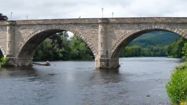 Dunkeld Bridge River Tay Summer Perthshire Scotland — Stock Video