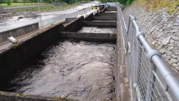 Piscinas Cámaras Con Agua Corriente Escalera Salmón Presa Pitlochry Río — Vídeo de stock