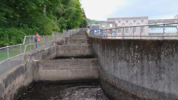 Питлохри Шотландия Июля 2023 Года Бассейны Камеры Текущей Водой Лососевой — стоковое видео