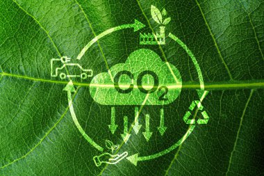 CO2 reducing icon on green leaf with circular for decrease CO2 , carbon footprint and carbon credit to limit global warming from climate change, Bio Circular Green Economy concept.