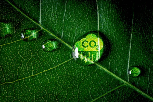 Co2 Reducing Icon Green Leaf Water Droplet Decrease Co2 Carbon — Stock Photo, Image