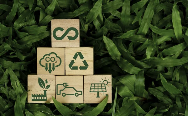 Infinity Symbool Met Circulaire Economie Milieu Iconen Houten Blok Kubus — Stockfoto